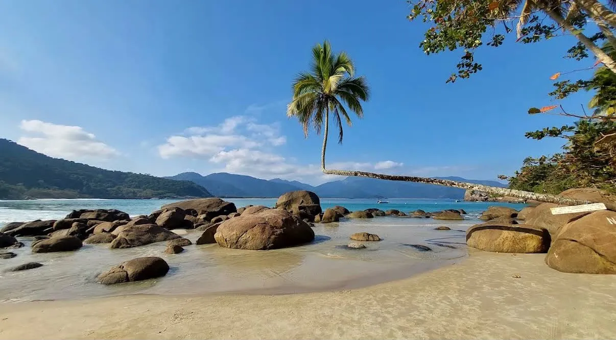 Praia do Aventureiro met iconische palmboom